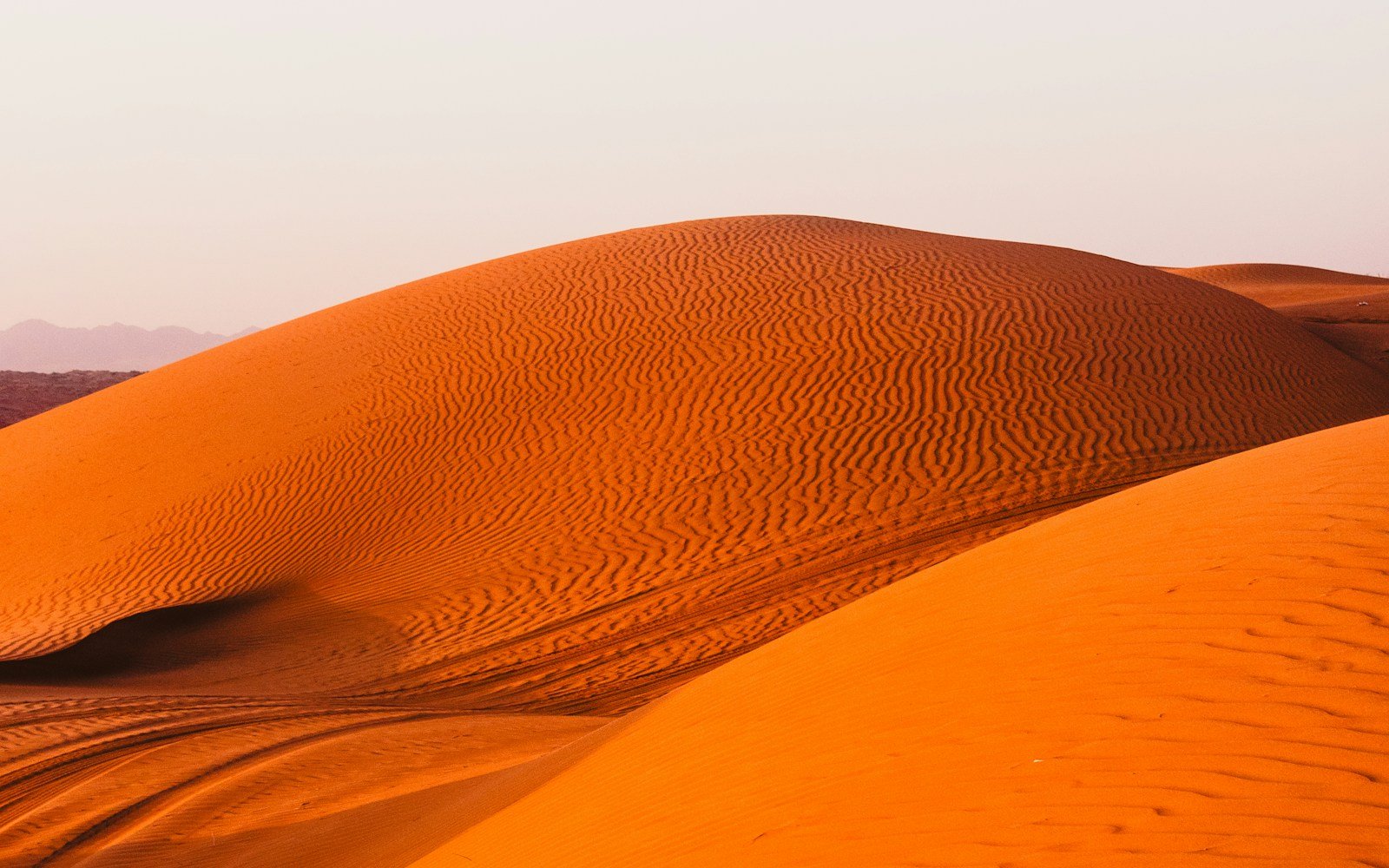 Sculptural sand dunes in warm desert light